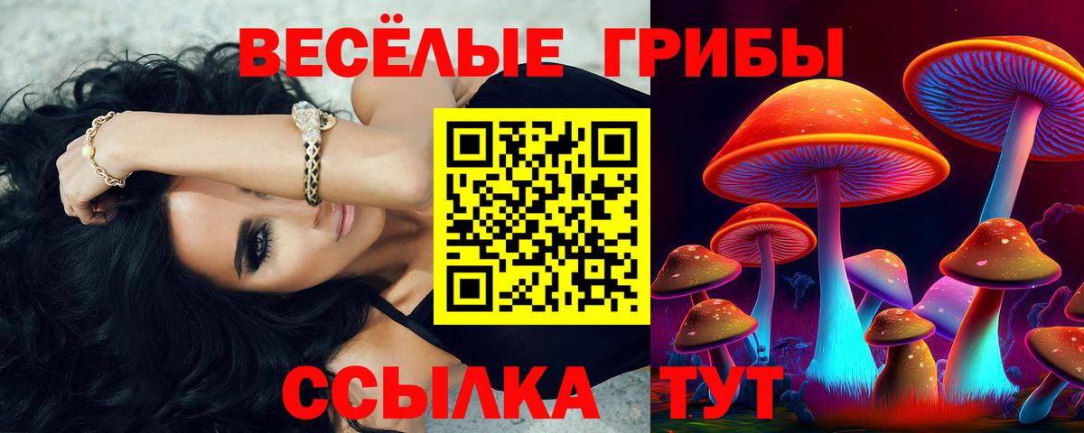 Галлюциногенные грибы Magic Shrooms  Псилоцибиновые грибы Psilocybine cubensis  Вход с VPN  Новый Уренгой 